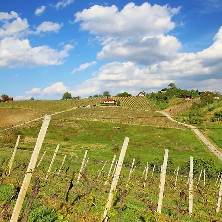 Wine Paradise Sveti Ivan Zelina Exterior photo