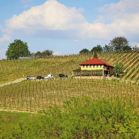 Wine Paradise Sveti Ivan Zelina Exterior photo