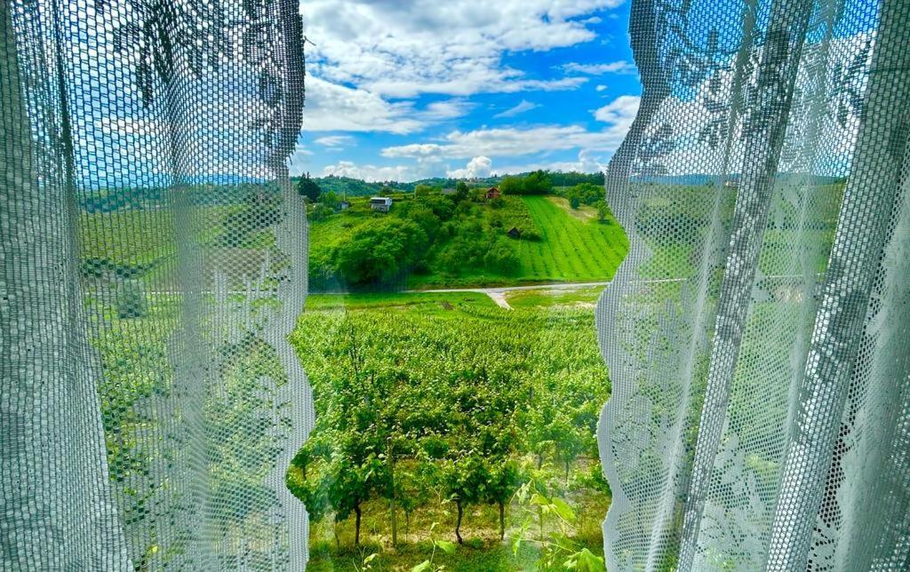 Apartment Wine Paradise
