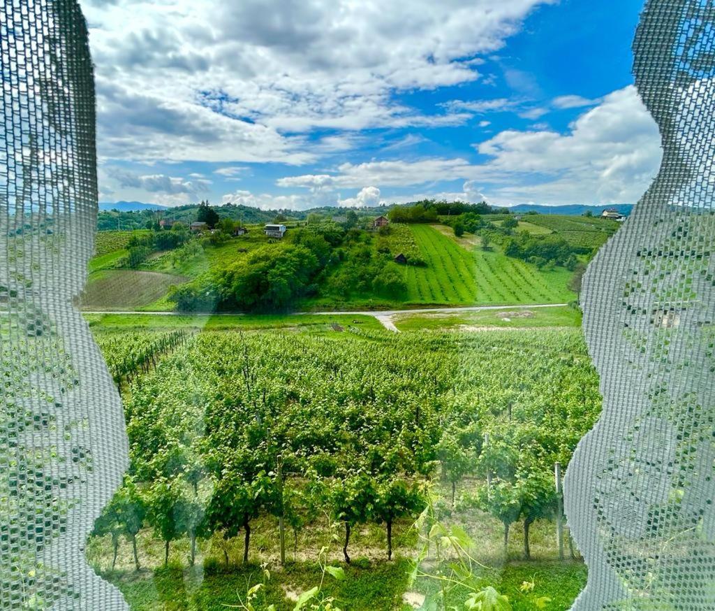 Apartment Wine Paradise *