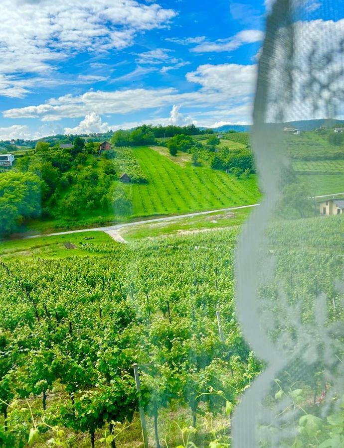 Wine Paradise * Sveti Ivan Zelina