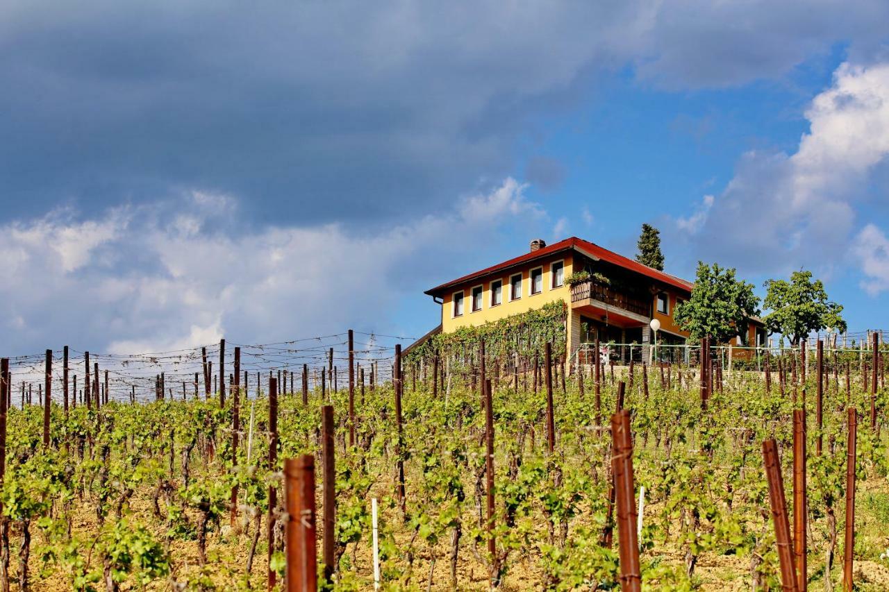 Wine Paradise Appartement *