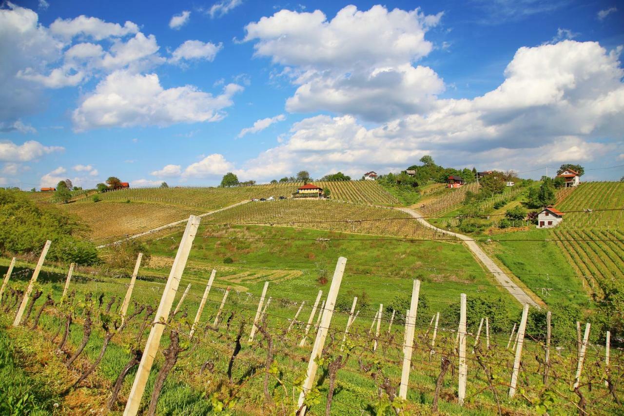 Wine Paradise Apartment Sveti Ivan Zelina