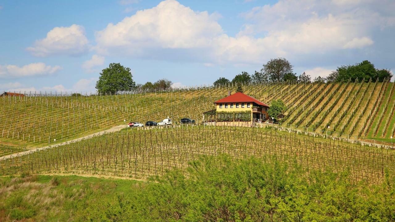 Wine Paradise Apartment *